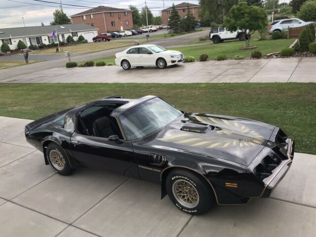 Pontiac Trans Am 1979 image number 0