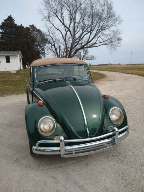 Volkswagen Beetle - Classic 1964 image number 17