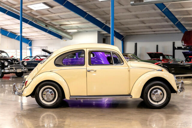 Volkswagen Beetle - Classic 1967 image number 37