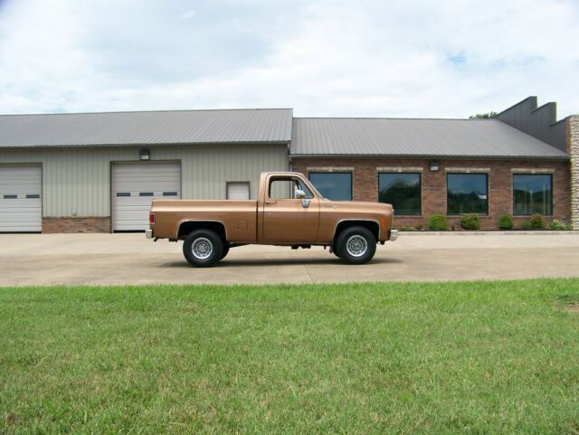 Chevrolet C-10 1977 image number 12