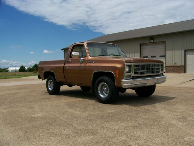 Chevrolet C-10 1977 image number 19