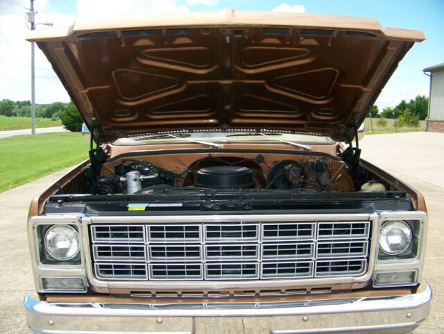 Chevrolet C-10 1977 image number 23