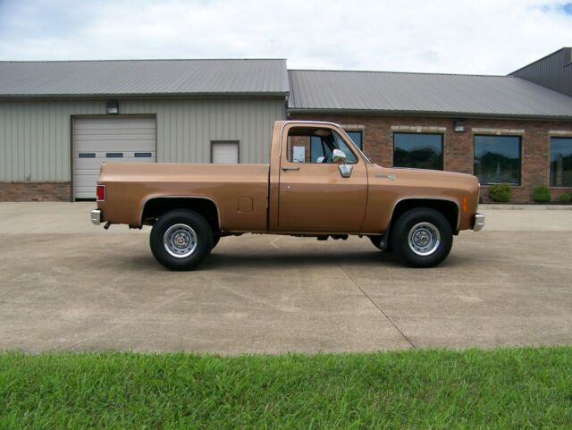 Chevrolet C-10 1977 image number 30