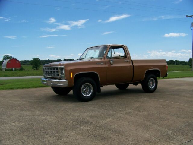 Chevrolet C-10 1977 image number 31