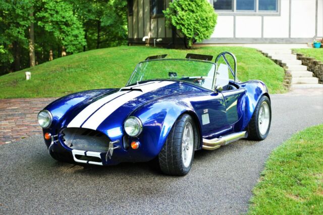 Shelby Cobra 1965 image number 0