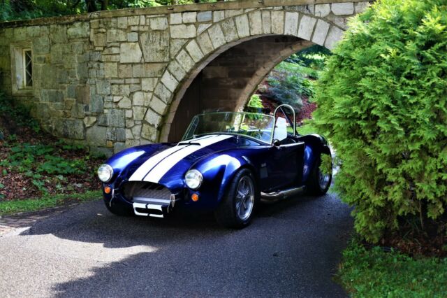 Shelby Cobra 1965 image number 17