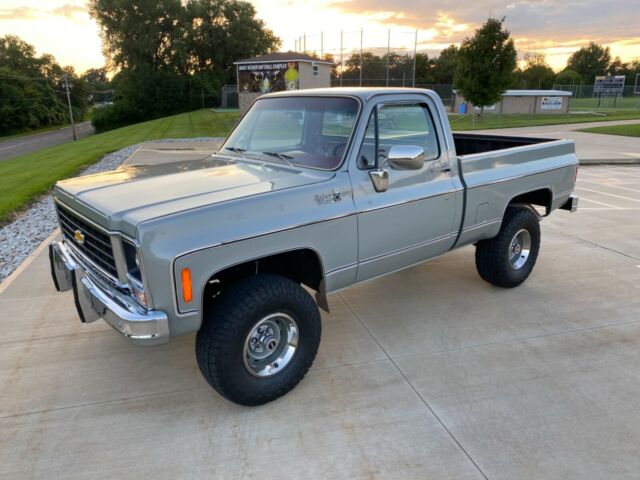 Chevrolet C/K Pickup 1500 1979 image number 45