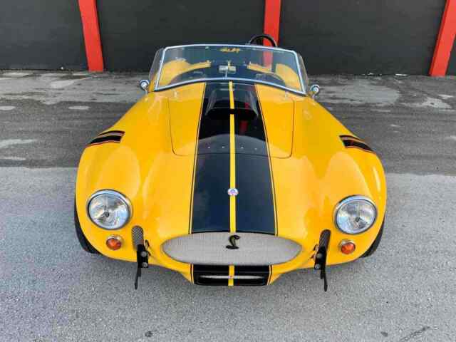 Ford Shelby Cobra 1965 image number 1