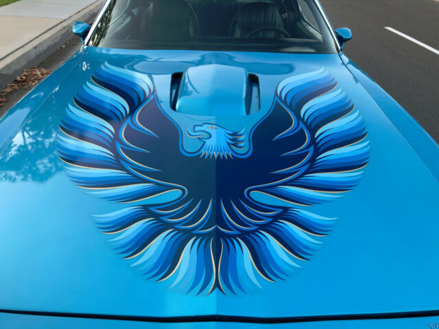 Pontiac Trans Am 1979 image number 3