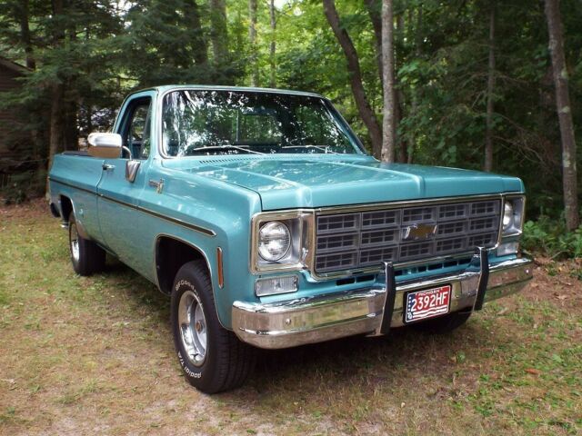 Chevrolet C-10 1977 image number 0