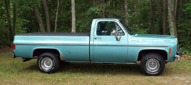 Chevrolet C-10 1977 image number 1