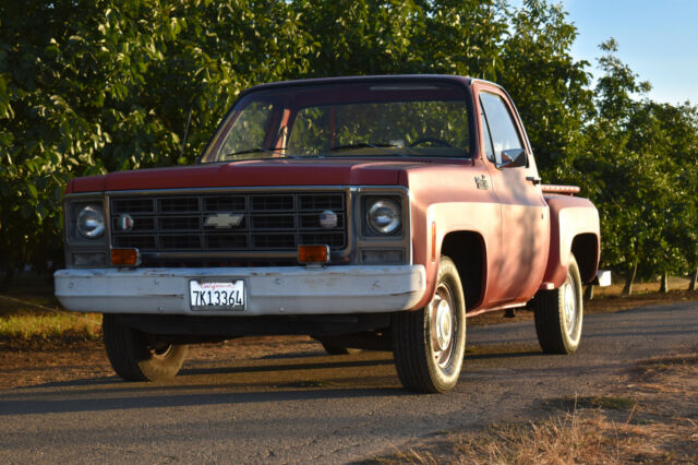 Chevrolet C-10 1979 image number 10