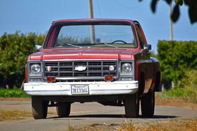 Chevrolet C-10 1979 image number 24