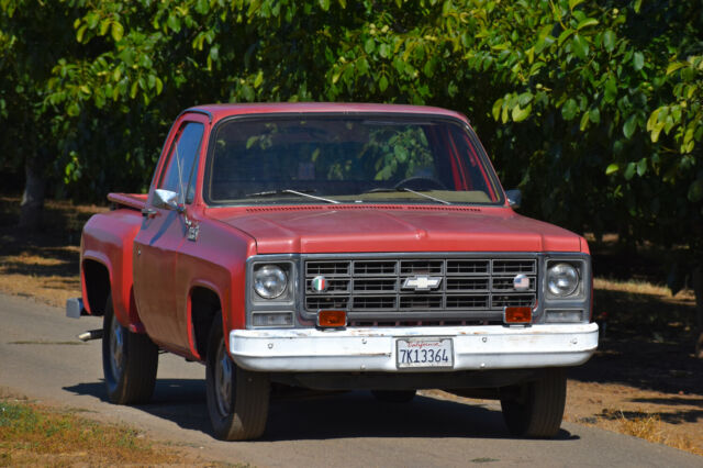 Chevrolet C-10 1979 image number 26