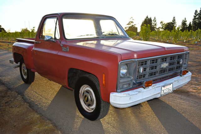 Chevrolet C-10 1979 image number 28