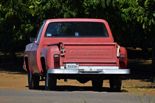 Chevrolet C-10 1979 image number 32