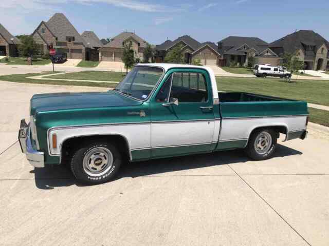 Chevrolet C10 Pickup 1979 image number 14