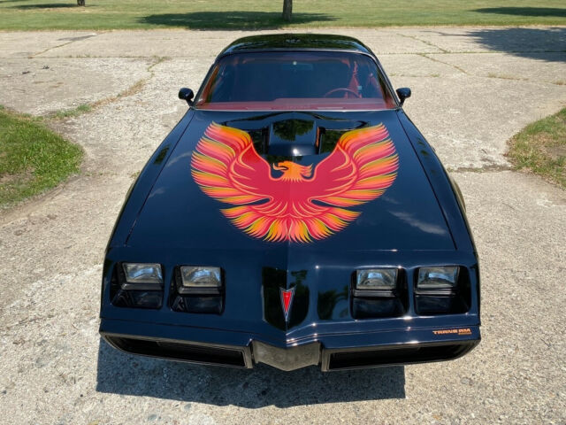 Pontiac Trans Am 1979 image number 33