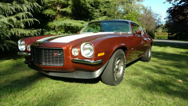 Chevrolet Camaro 1970 image number 12