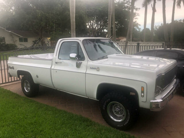 Chevrolet C-10 1977 image number 0