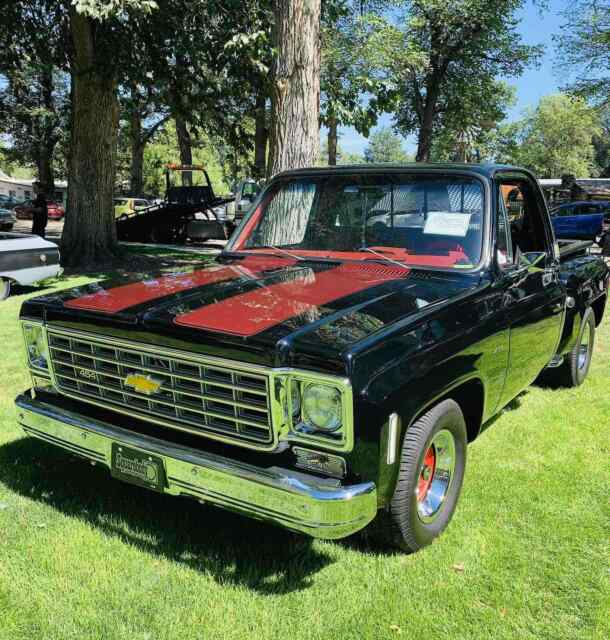 Chevrolet C10/K10 1976 image number 19