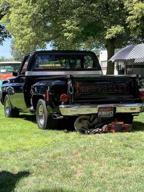 Chevrolet C10/K10 1976 image number 21