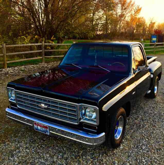 Chevrolet C10/K10 1976 image number 26