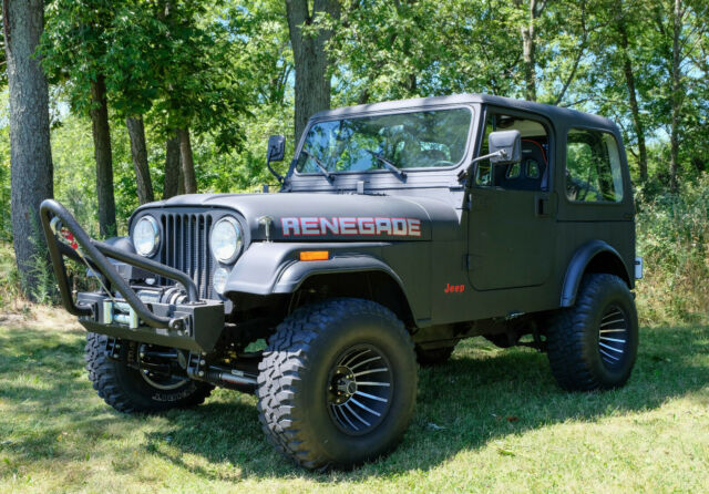 Jeep CJ 1979 image number 0