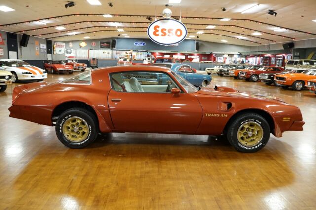 Pontiac Trans Am 1976 image number 6