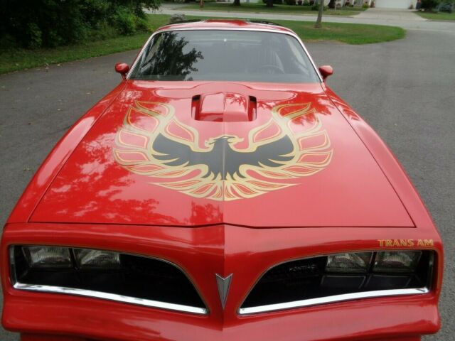 Pontiac Trans Am 1977 image number 1