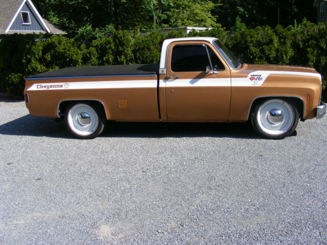 Chevrolet C-10 1979 image number 1