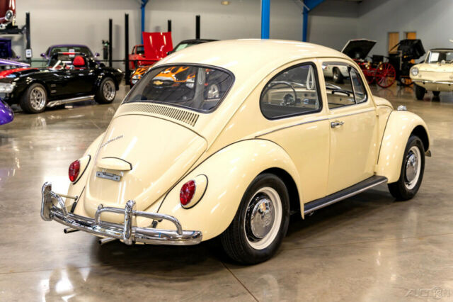 Volkswagen Beetle - Classic 1967 image number 34