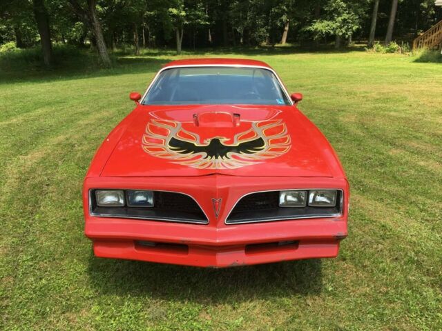 Pontiac Trans Am 1977 image number 19