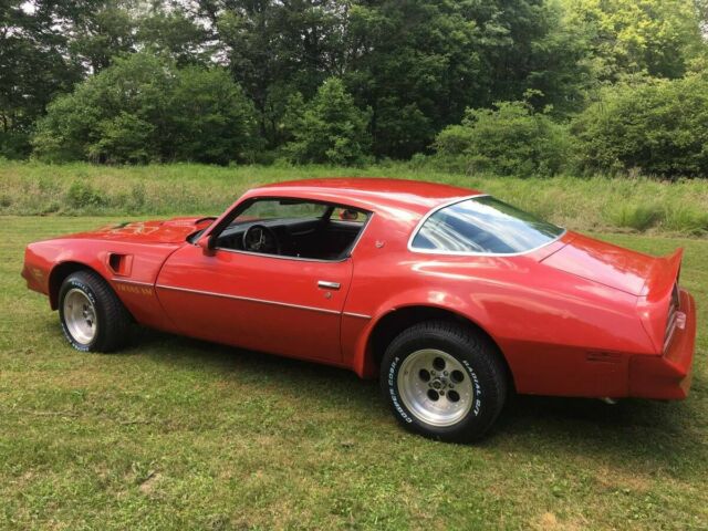 Pontiac Trans Am 1977 image number 23