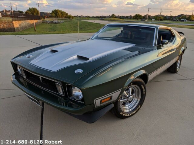 Ford Mustang 1973 image number 13