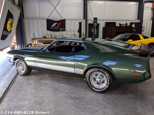 Ford Mustang 1973 image number 17