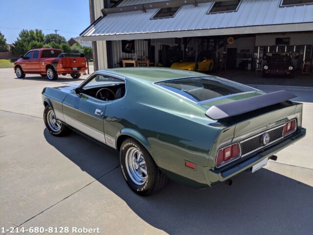 Ford Mustang 1973 image number 7