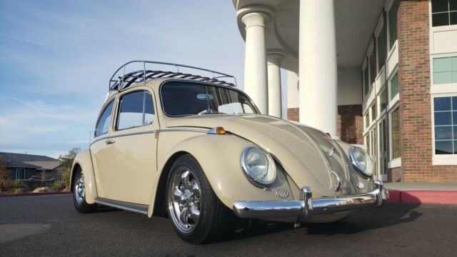 Volkswagen Beetle (Pre-1980) 1966 image number 18