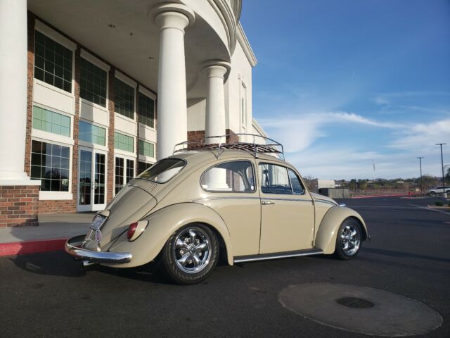 Volkswagen Beetle (Pre-1980) 1966 image number 20