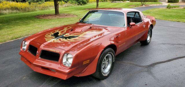 Pontiac Trans Am 1976 image number 1