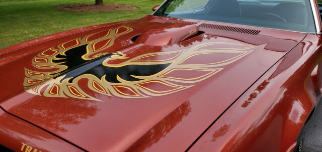 Pontiac Trans Am 1976 image number 11