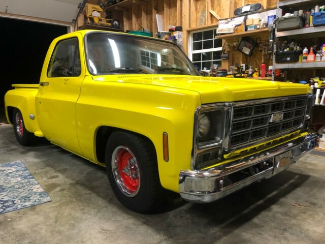 Chevrolet C-10 1976 image number 10