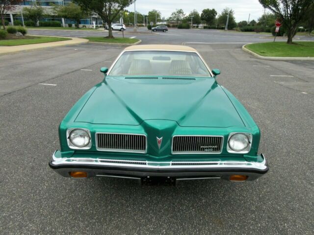 Pontiac Le Mans 1973 image number 10