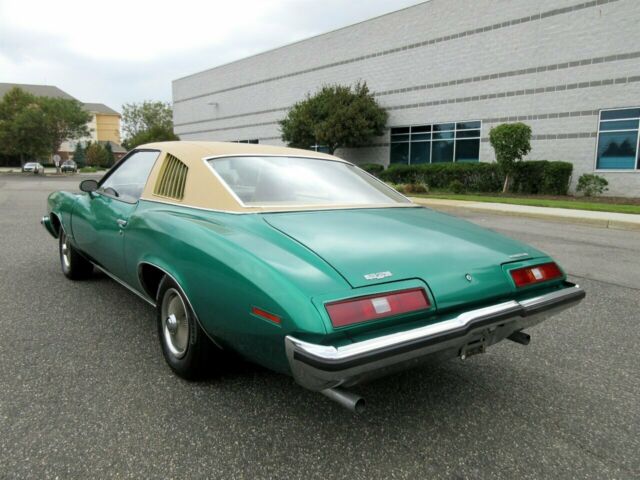 Pontiac Le Mans 1973 image number 14