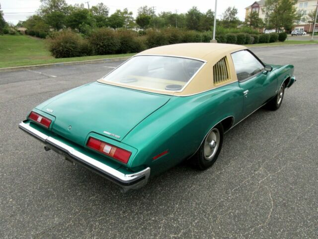 Pontiac Le Mans 1973 image number 15