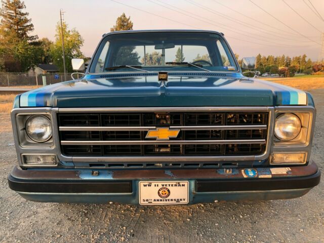 Chevrolet C-10 1979 image number 13