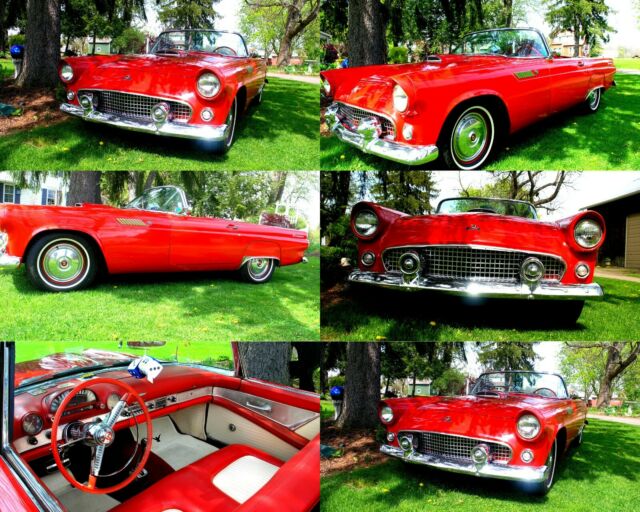 Ford Thunderbird 1955 image number 2