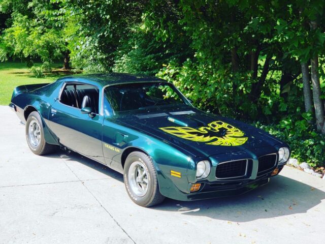 Pontiac Trans Am 1973 image number 20