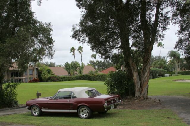 Ford Mustang 1967 image number 19