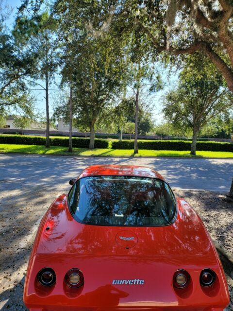 Chevrolet Corvette 1979 image number 29